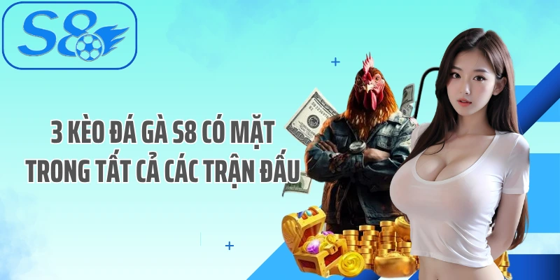 3 Kèo đá gà S8 có mặt trong tất cả các trận đấu